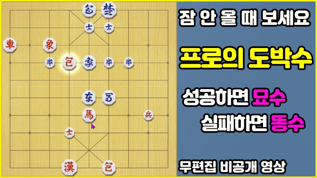 [잠 안 올 때 보세요] 프로의 도박수!! 성공하면 묘수, 실패하면 똥수 (무편집_풀버전)