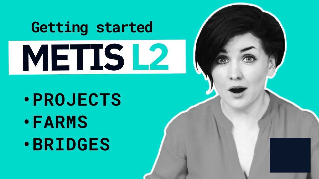 Getting started with METIS L2: Projects, Farms and Bridges