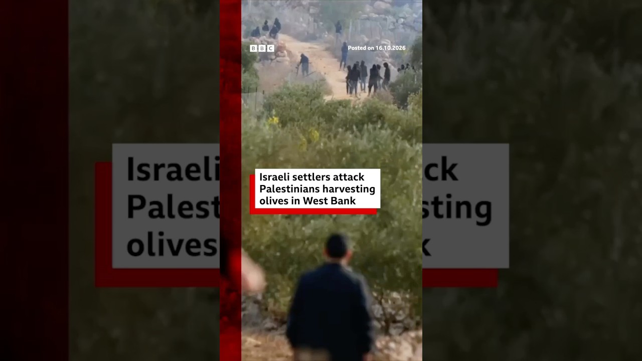 Israeli settlers attack Palestinians harvesting olives in West Bank. #BBCNews