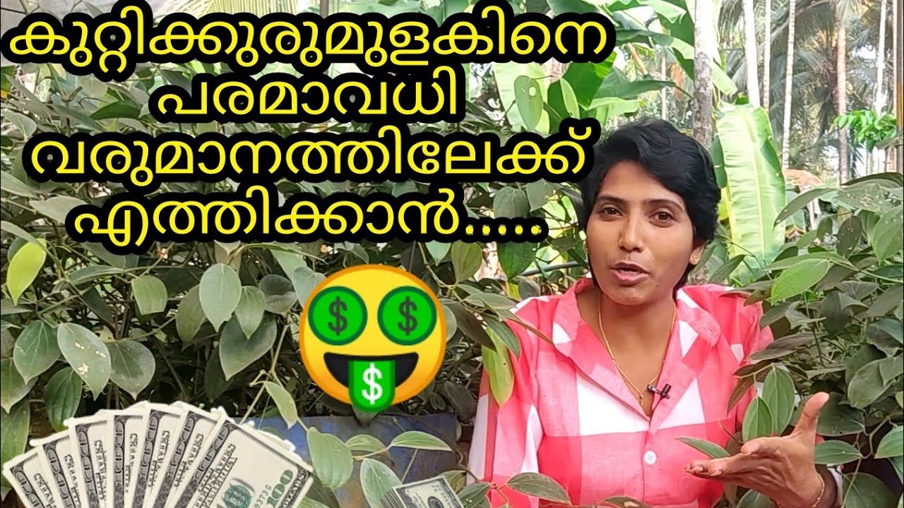 Transplanting seedlings from bigger to biggest