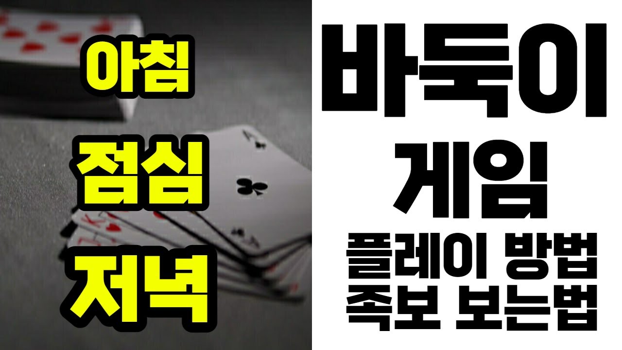 바둑이 게임 하는법 족보, 승률 올리는법 #바둑이게임