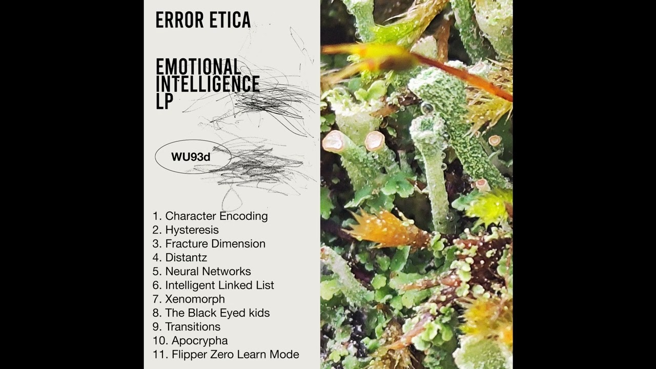 01.Error Etica - Character Encoding [WU93d]