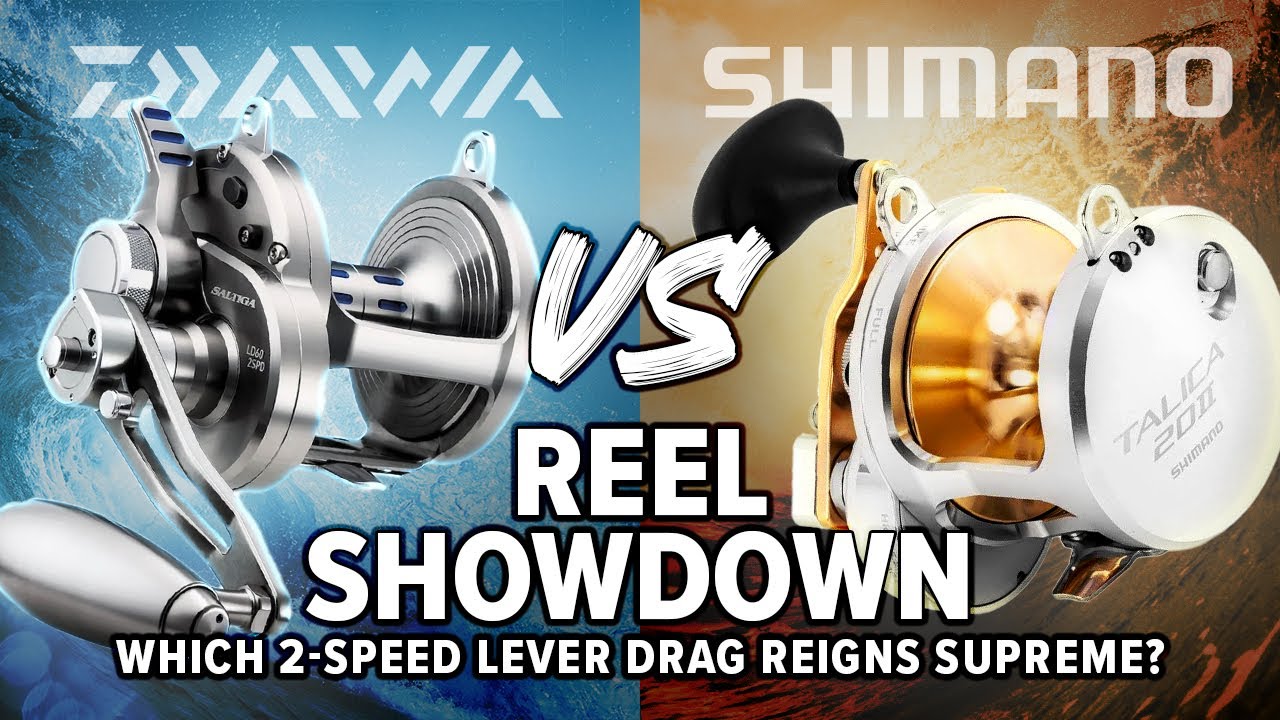Daiwa Saltiga против Shimano Talica: какая двухскоростная рычажная катушка лидирует?