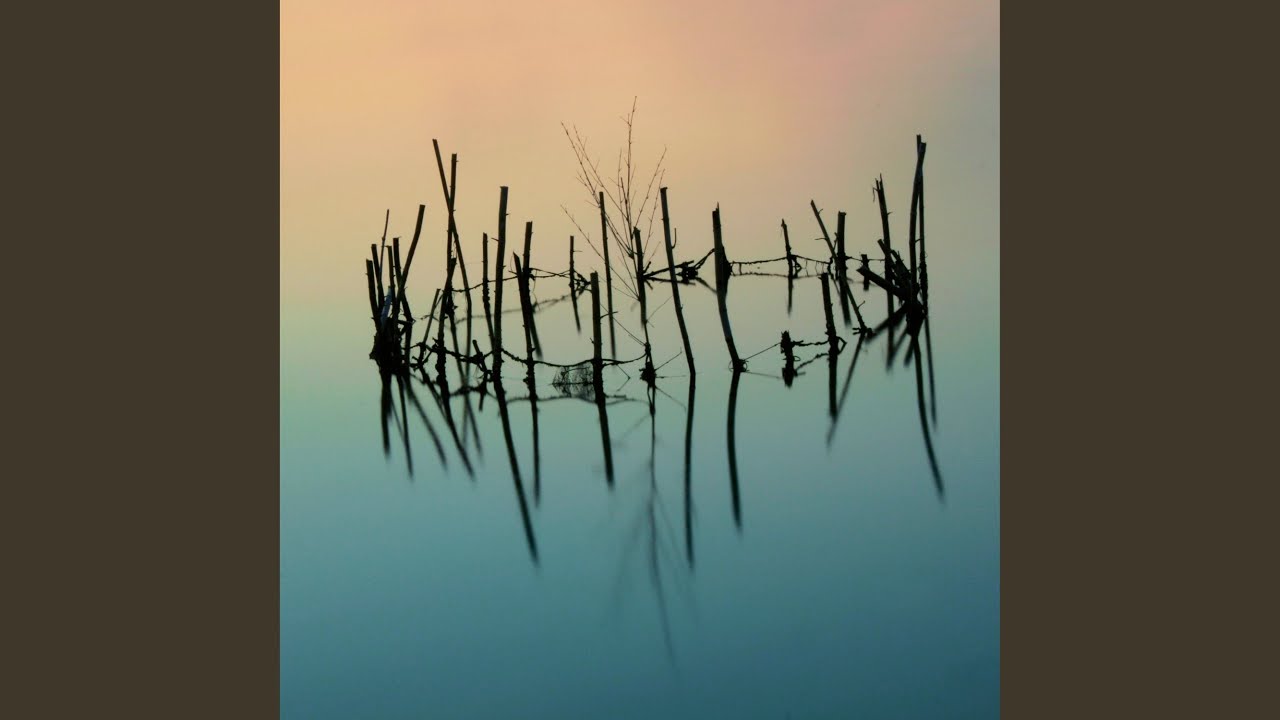 The Gentle Morning Breeze