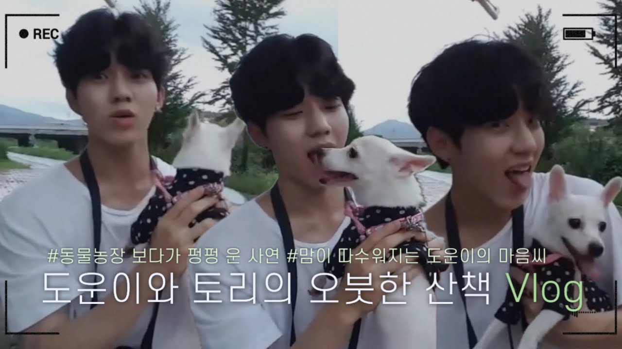 [데이식스/Day6] 도운이의 영원한 친구 토리랑 산책하는 Vlog | 반려견에 대한 마음이 매우 깊은 도운이