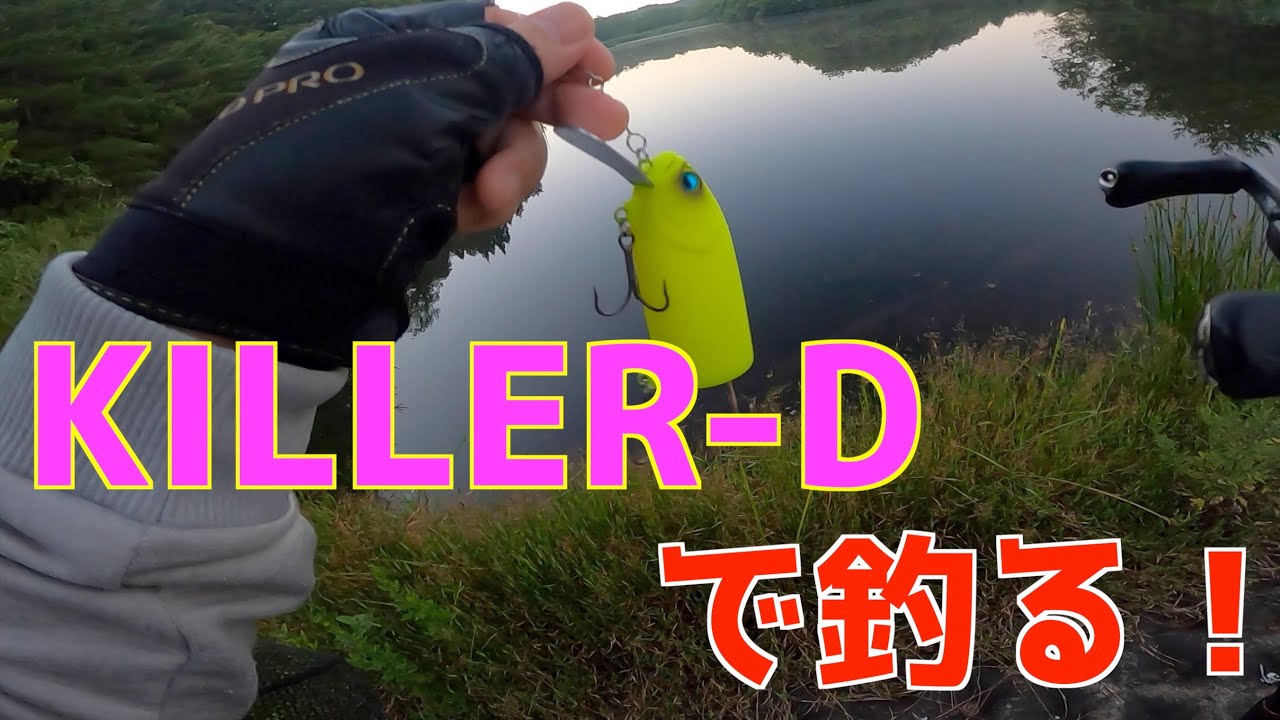 KILLER-Dで釣る！
