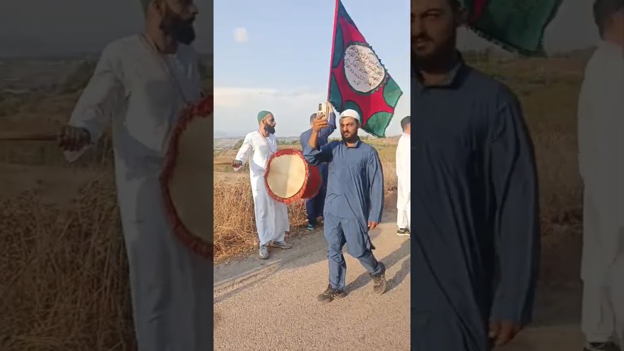 ختام  المولد النبوي الشريف لعام 2025 