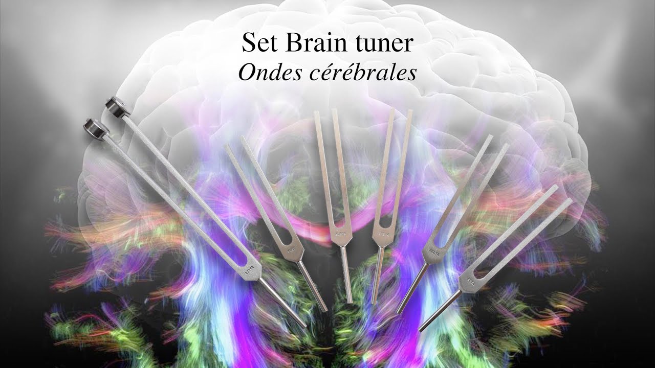 Diapasons Brain tuner Ondes cérébrales