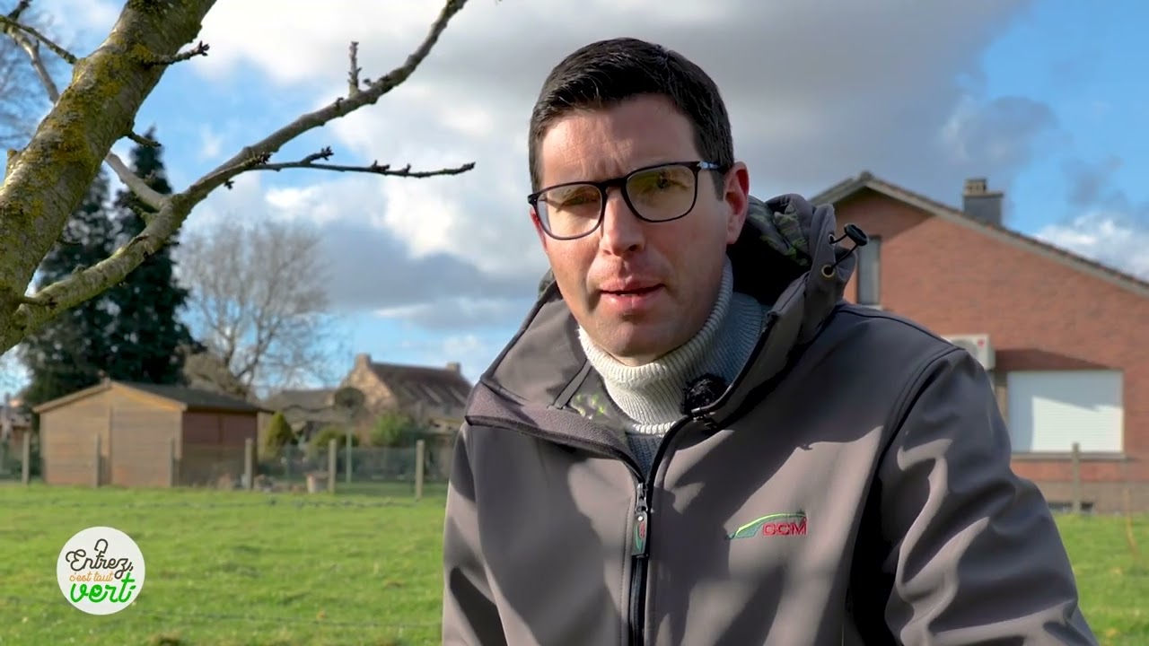 Quels soins donner aux arbres fruitiers après l’hiver ?