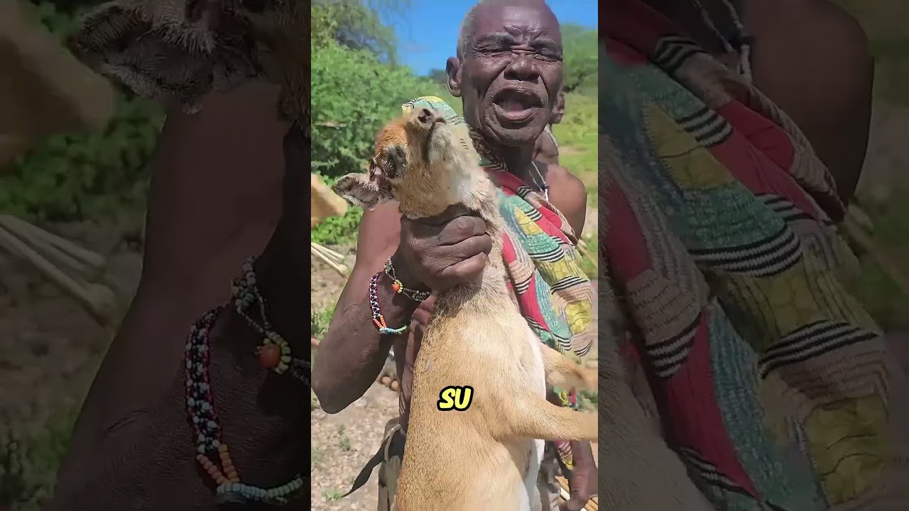 La hospitalidad de estos tribales te sorprender&aacute;