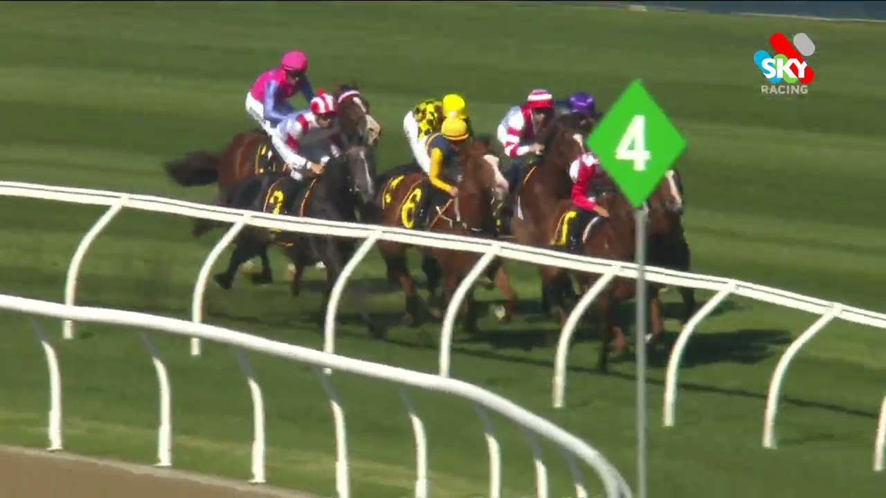 Celestial Legend: 2023 SCHWEPPES HCP