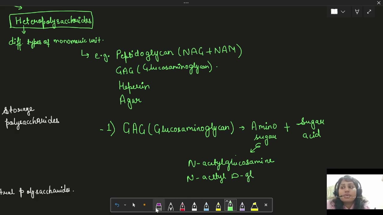 Glycosaminoglycans | Heteropolysaccharides | You Must Know for Exams