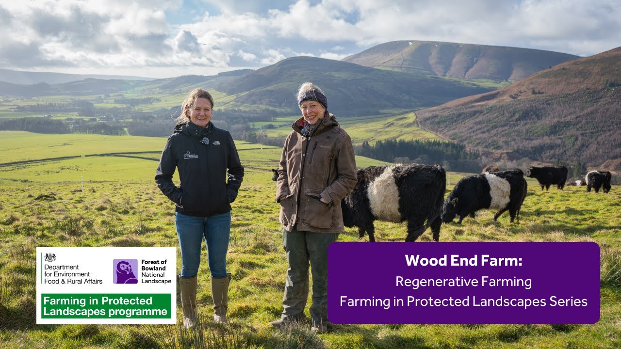 Regenerative Farming in the Forest of Bowland || Part 1 || Wood End Farm