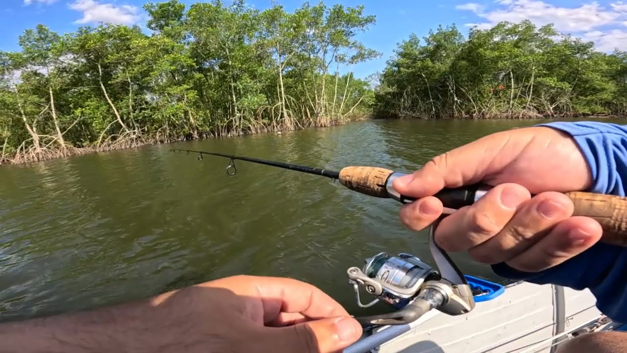PESCARIA DE ROBALOS NOS RIOS DE MANGUE - PESCA ULTRALIGHT