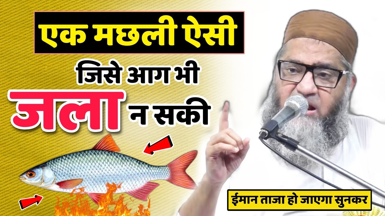 ऐसी मछली जिसे आग भी जला न सकी @Qari Ahmad Ali Falahi | हैरतअंगेज वाक़िया | ईमान ताजा हो जाएगा सुनकर