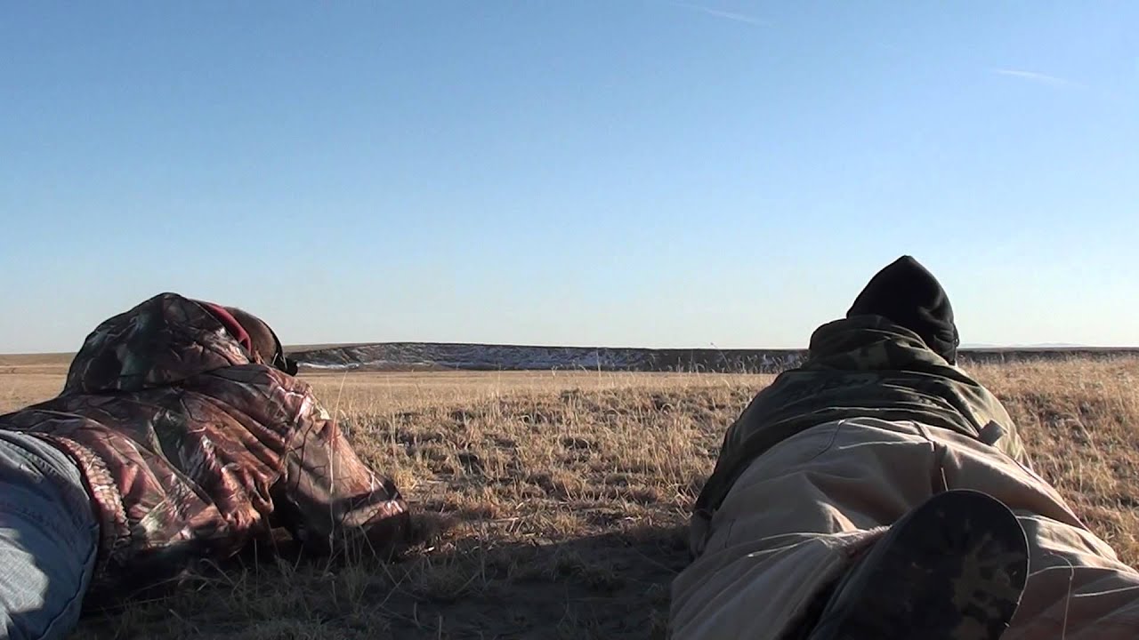 FNAR at 500 yards