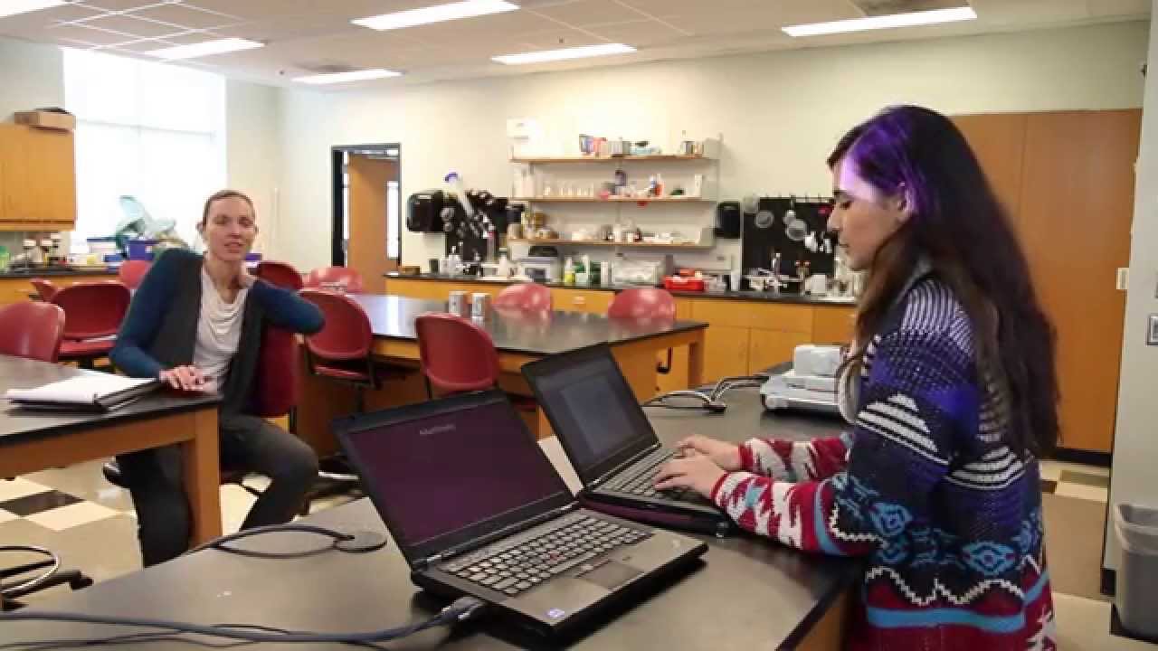 Honors Program at Meredith