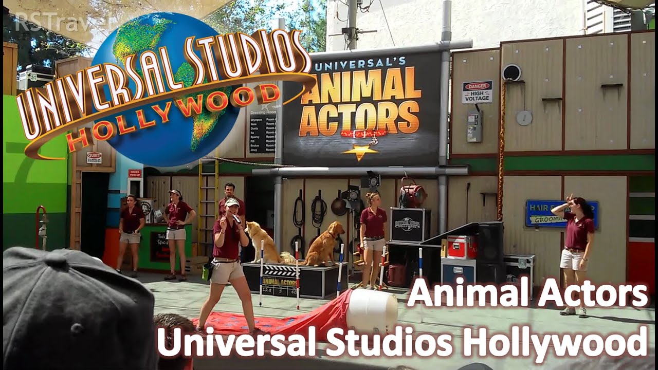 Animal Actors | Universal Studios Hollywood