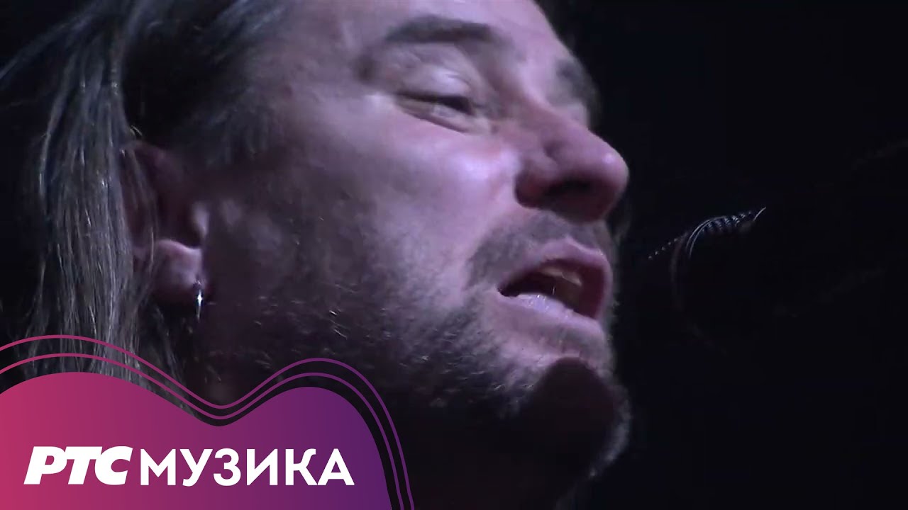 Divlje jagode - Ciganka | Beogradski sajam 24.12.2022. (Live)