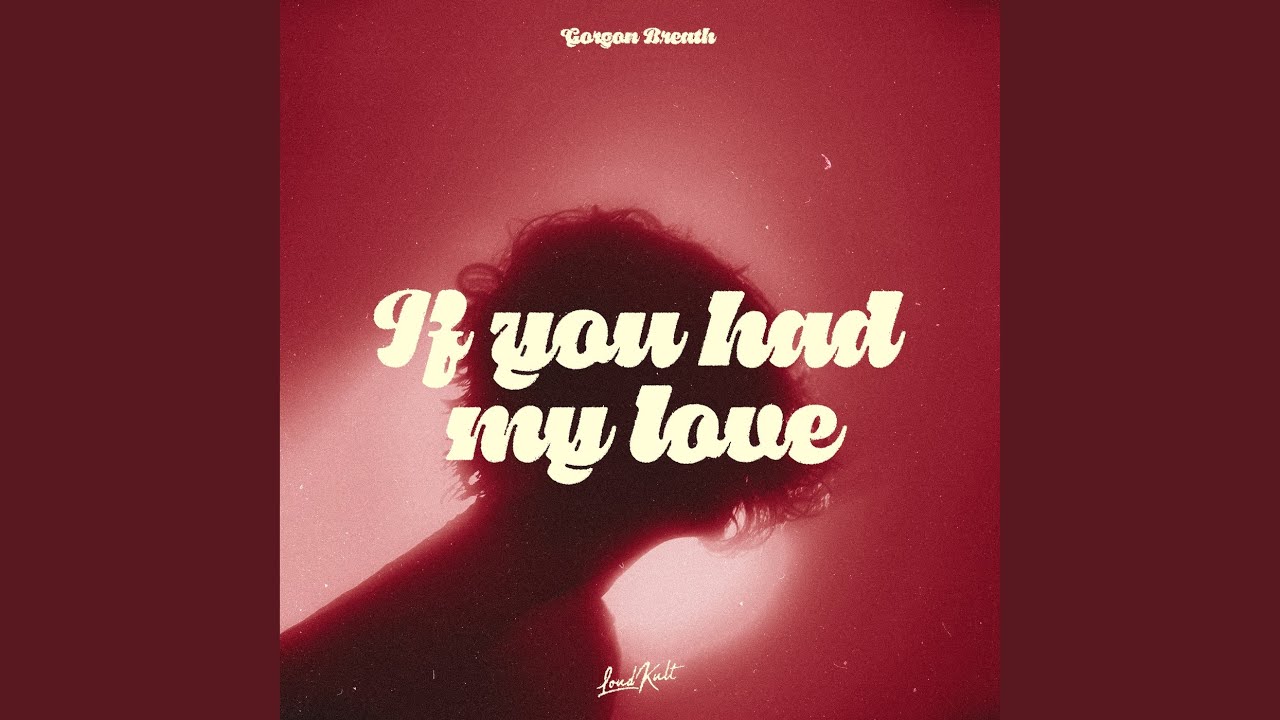 If You Had My Love