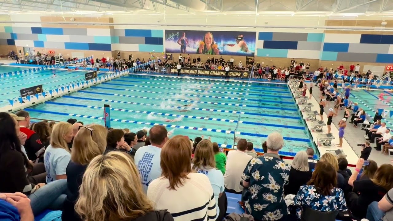 100 Freestyle  MR