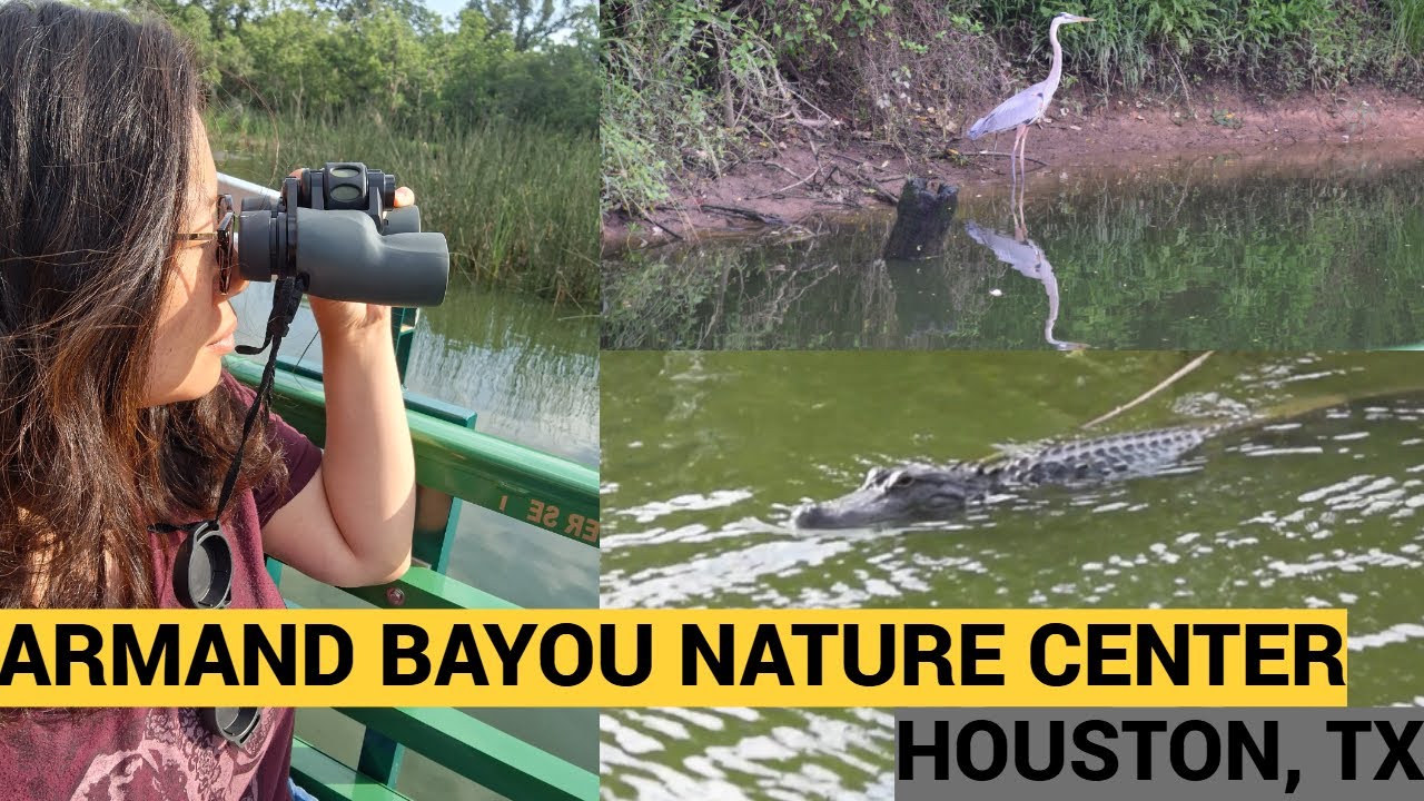 Armand Nature Preserve Morning Bayou Tour | Unique Things to Do in Houston, TX
