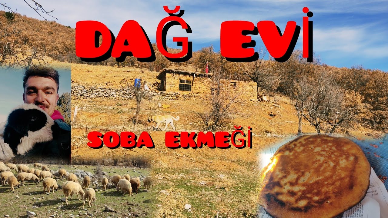 DAĞ EVİNDE BİR GÜN - NASIL ÇOBAN OLUNMAZ - SOBA EKMEĞİ