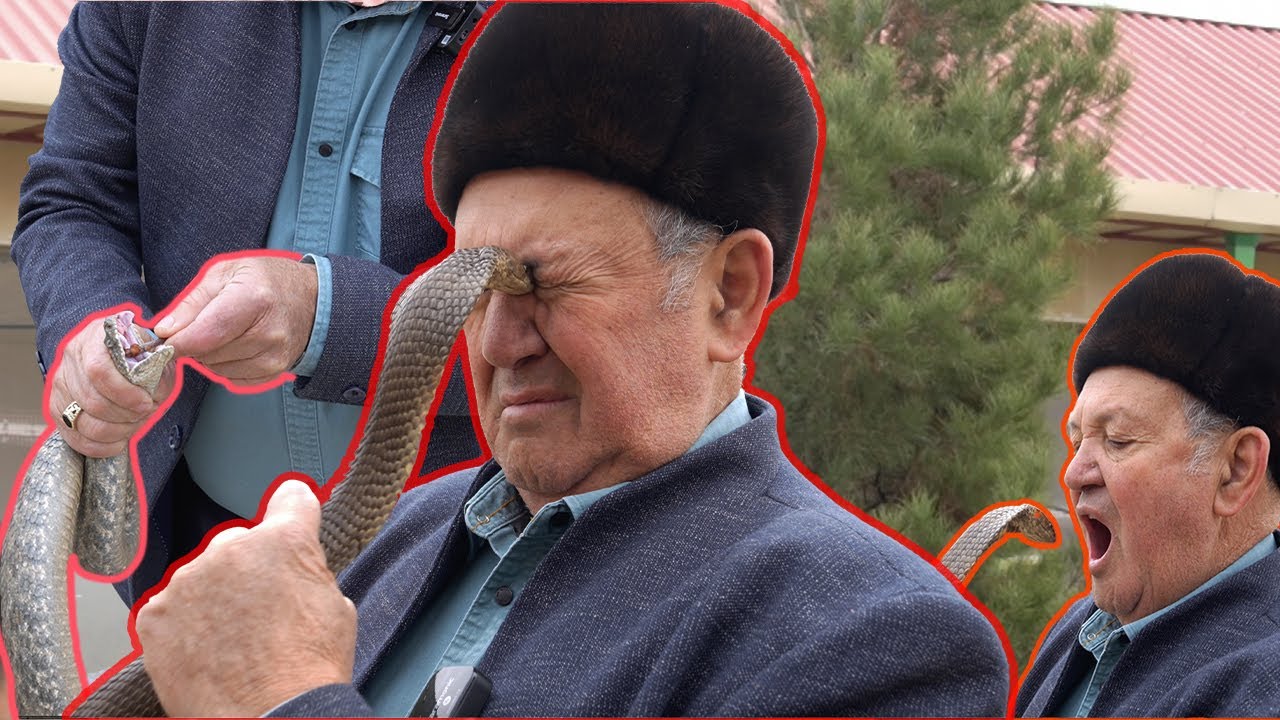 УЗБЕКИСТАН| Доктор Кобра| Face to face со смертью каждый день.