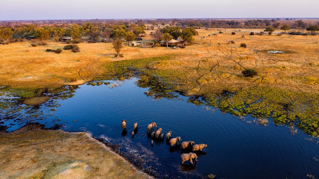 Tuludi Camp. A luxury Safari Lodge in the Okavango Delta. Botswana. Natural Selection Travel