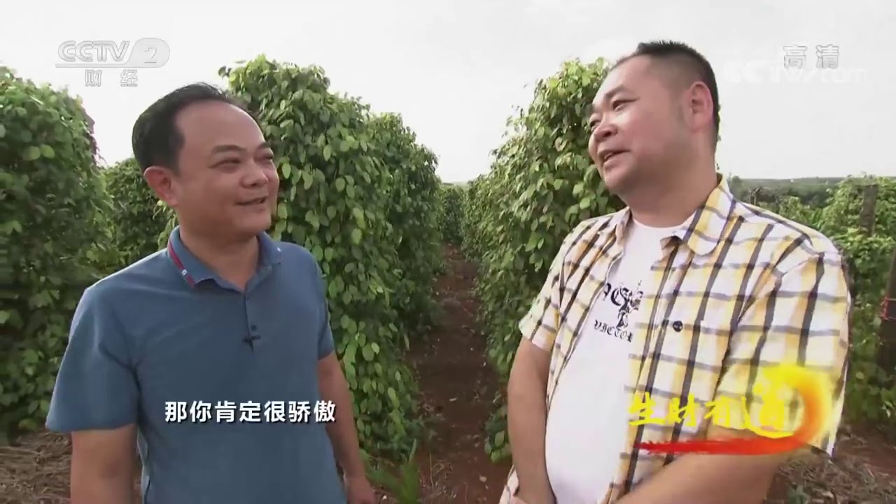 《生财有道》 20201204 咱们家乡有特产——海口大坡 如此多“椒”| CCTV财经