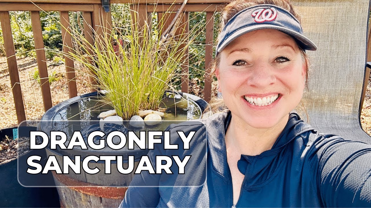 Creating a Dragonfly Habitat in my Whiskey Barrel Pond / Projects VLOG March 9, 2023