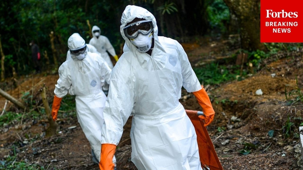WHO Declares Ebola Outbreak In Africa &lsquo;Extraordinary&rsquo; Public Health Emergency