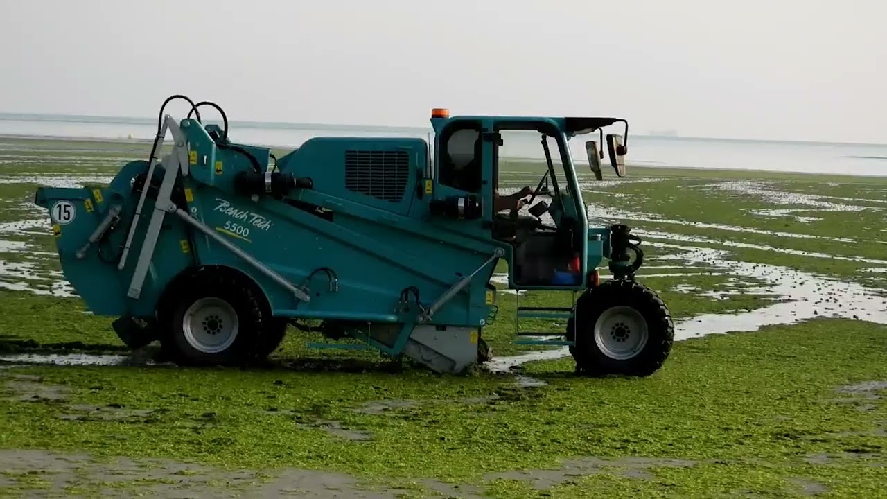 BeachTech - Green algae removal