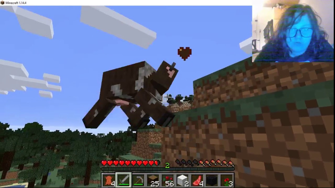 Minecraft The Beginning