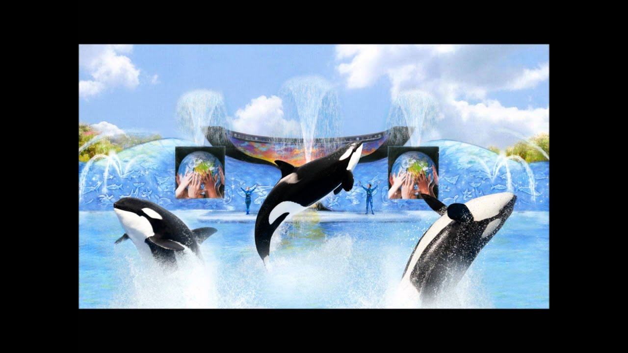 Seaworld: One Ocean Soundtrack with Lyrics (Part one of two)