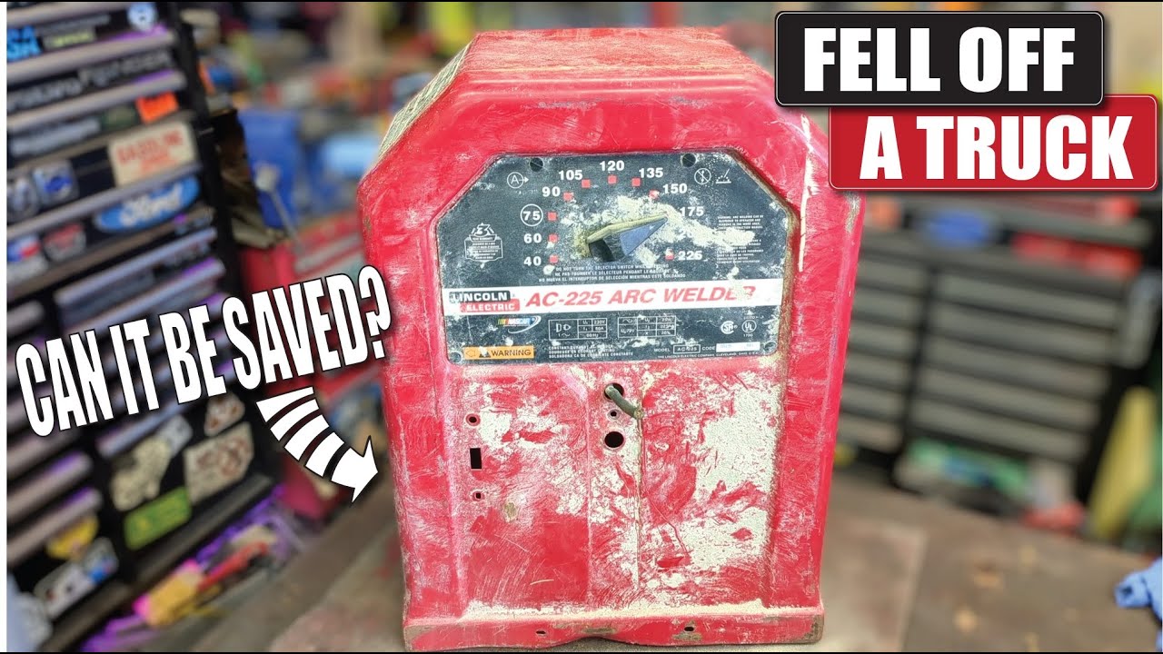 Free Lincoln welder  .. Can anything kill them?