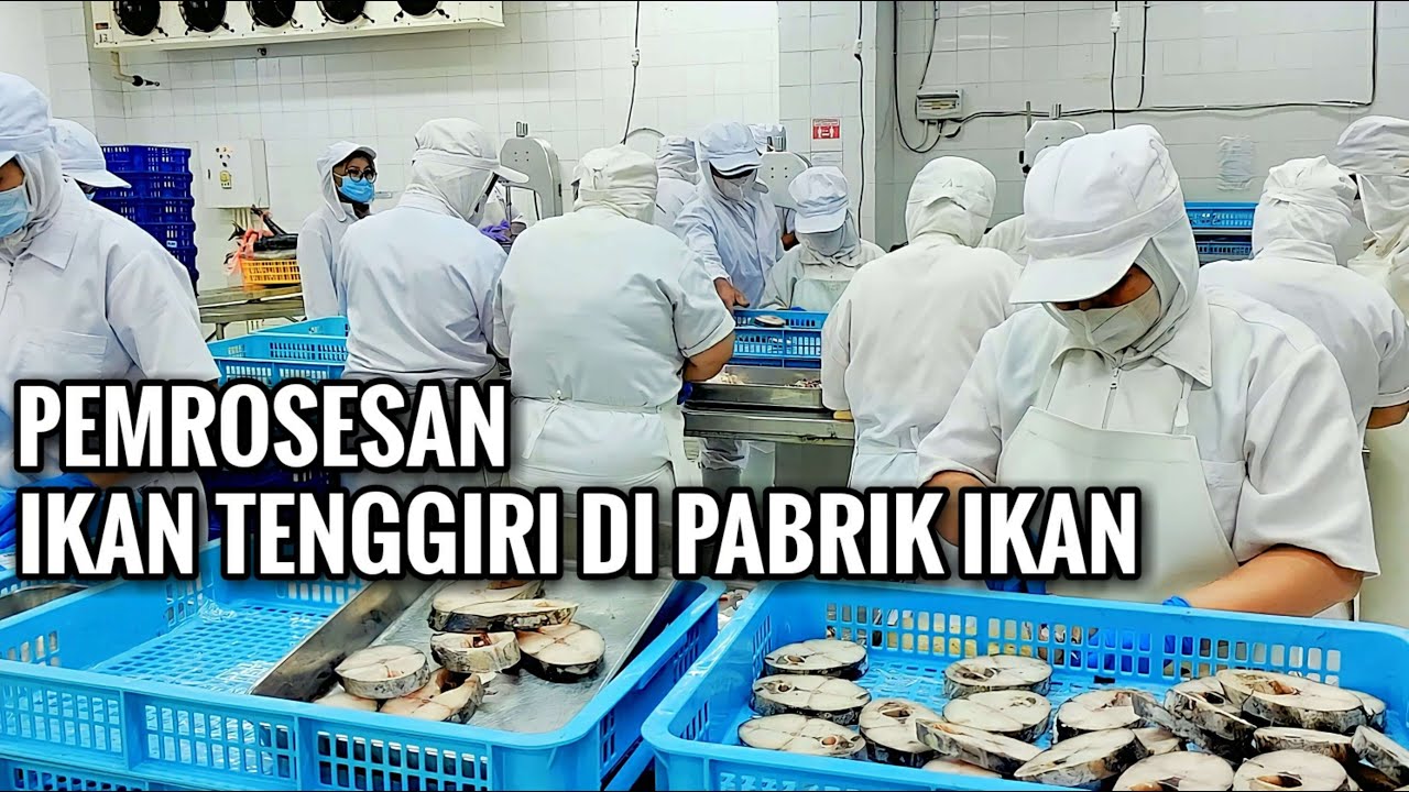 Pemrosesan Ikan Tenggiri Di Pabrik Ikan Di Bali