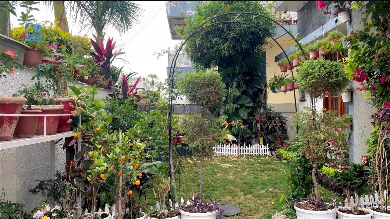 Small 🏡 garden  tour 🪏   Tour  //  rainy day  joy 