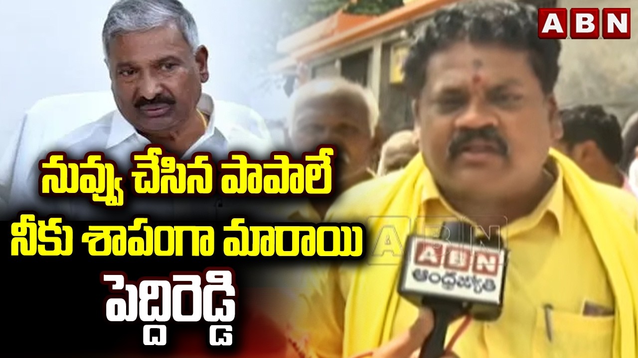 నువ్వు చేసిన పాపాలే నీకు శాపంగా మారాయి పెద్దిరెడ్డి TDP Leaders Fires On Peddireddy RamachandraReddy
