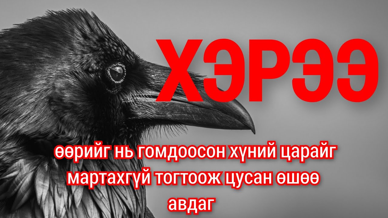 Бие нь хар ч Сэтгэл нь цагаахан хэрээ шувууны түүх. Goe tuuhuud mongol heleer kino Barimtat kino