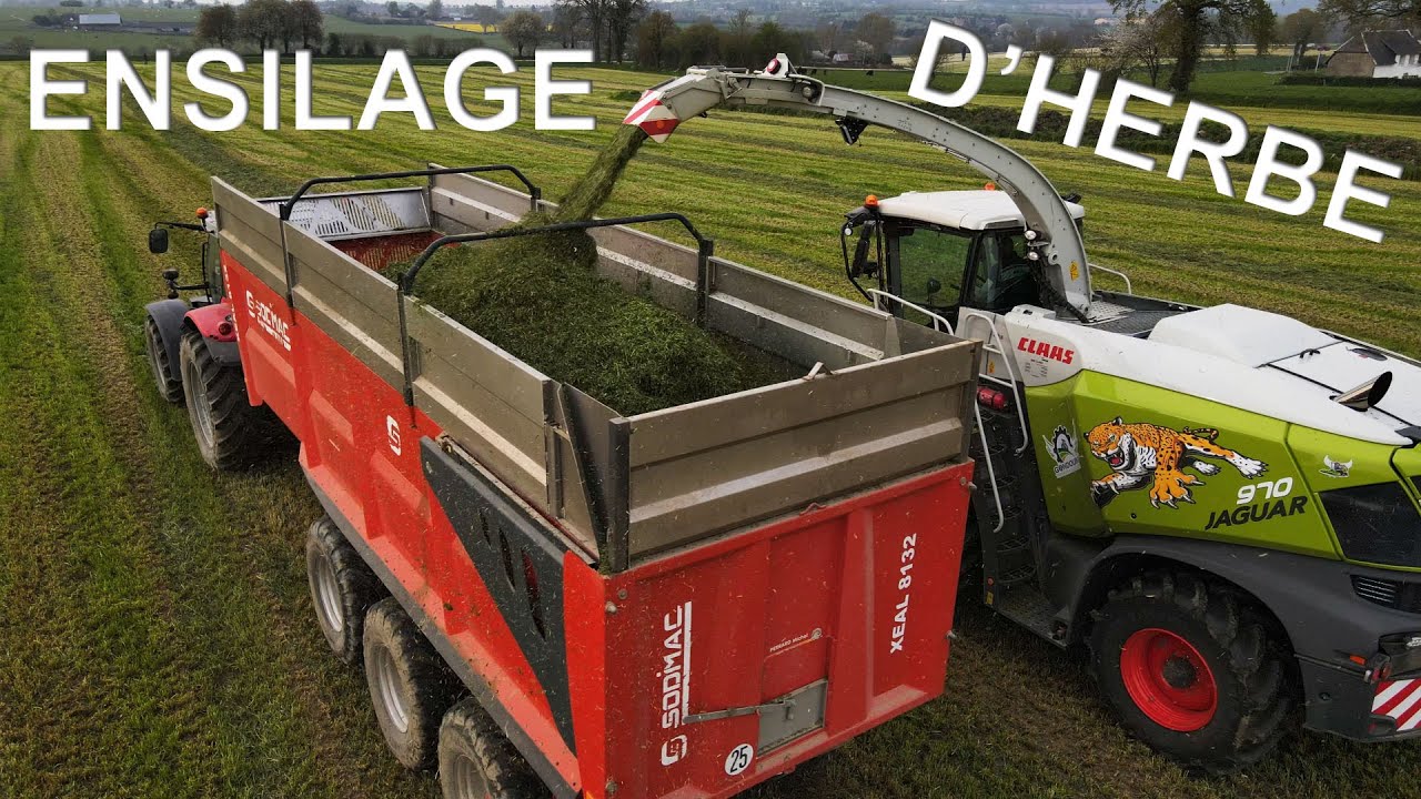 ENSILAGE D'HERBE // Claas Jaguar 970 🐆