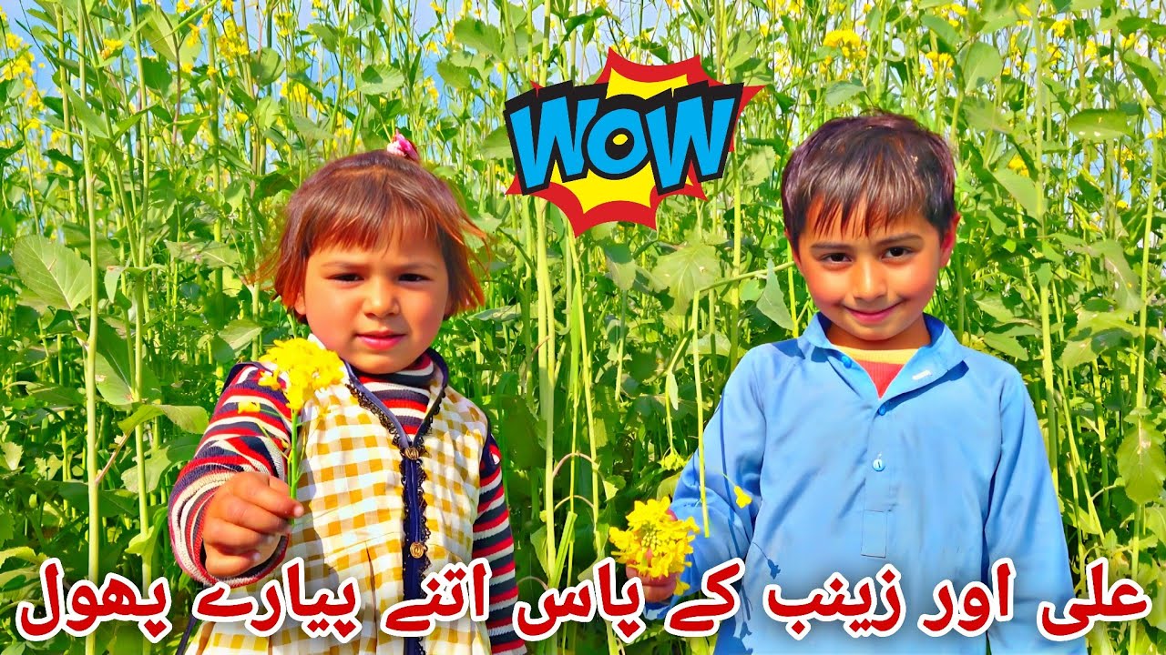 Gaon ke Masoom Bachay aur Haseen Phool 🌼Ali aur Zainab ki Khushiyan | Vlog Ep. 75 | Village Life 