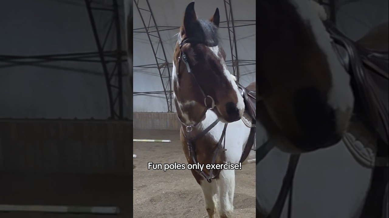 Fun poles - only exercise ❤️ 