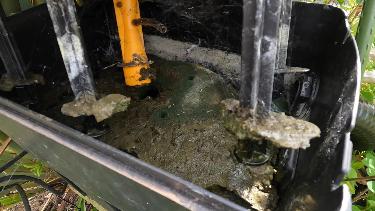 This small pond filter hasn't been cleaned for 2 YEARS !! 😮☺☺
