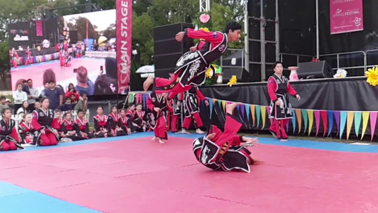 Hapkido Demonstration Strathfield Spring Festival 2018