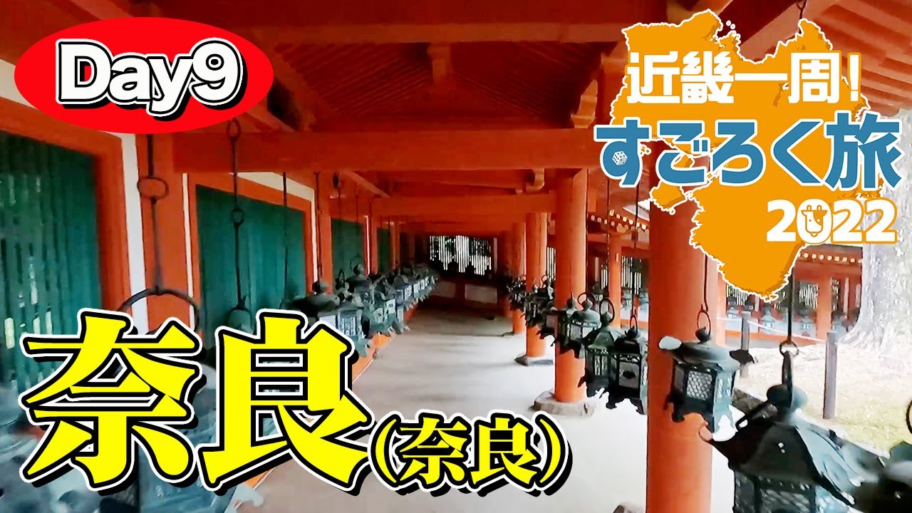 【近畿一周すごろく旅 #10】奈良県奈良市へ。奈良公園で鹿に癒やされ、東大寺の大仏と春日大社に身を置き心静かに過ごす1日【エンイチぶらり旅】