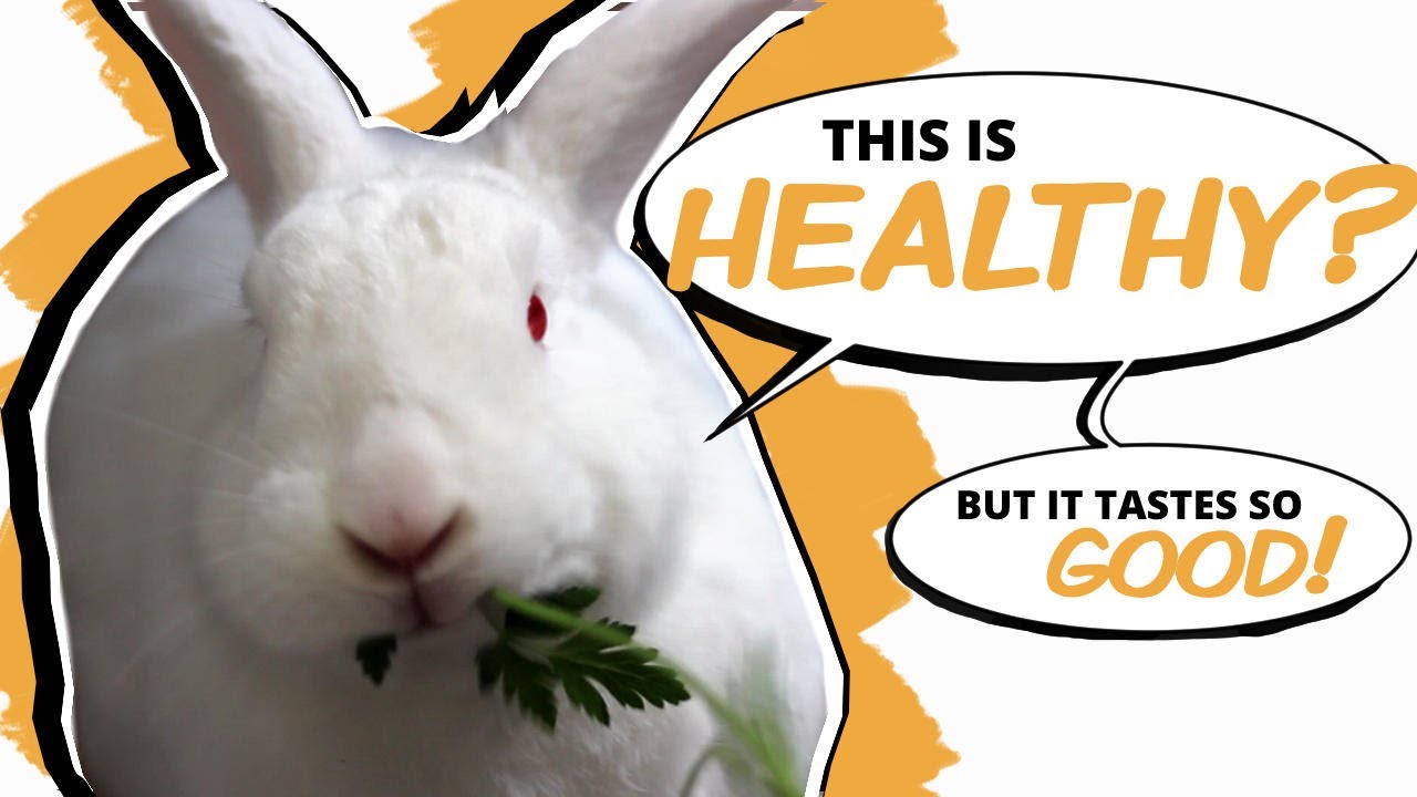 20 Herbs for Optimal Rabbit Health!