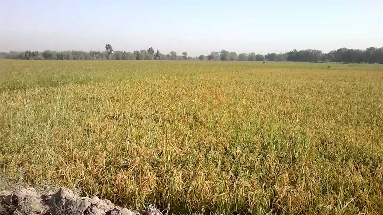 BAGHLAN AFGHANISTAN (HD)