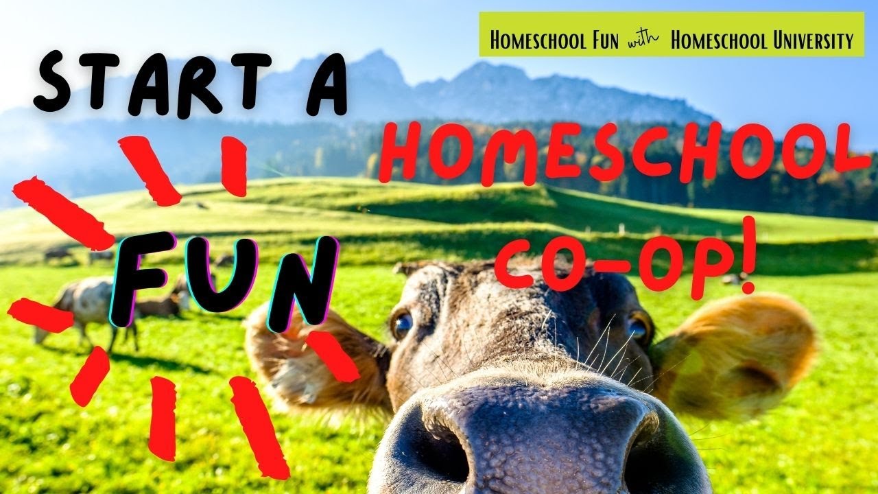 Start a FUN Homeschool Co-op!  Part 1: The Basics