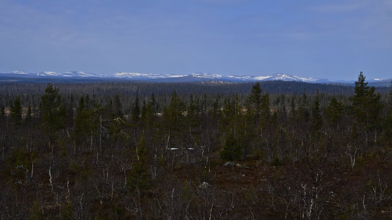 Kevättä kairassa HDR HLG